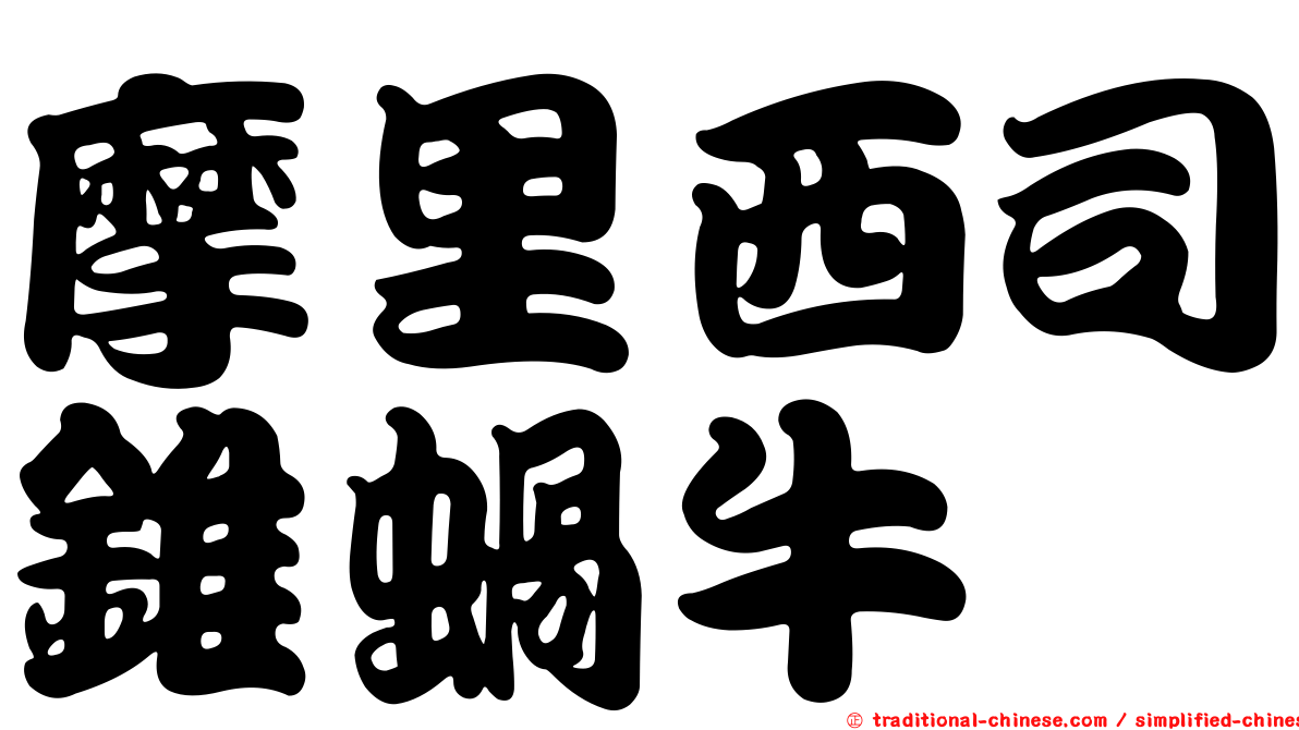 摩里西司錐蝸牛