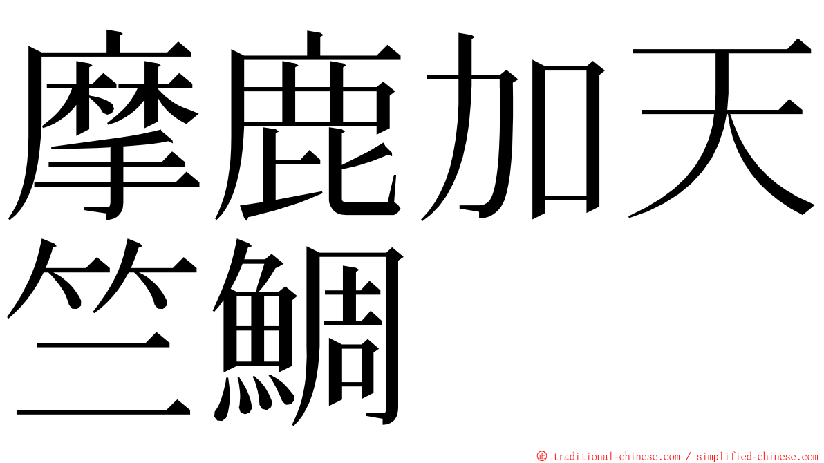 摩鹿加天竺鯛 ming font