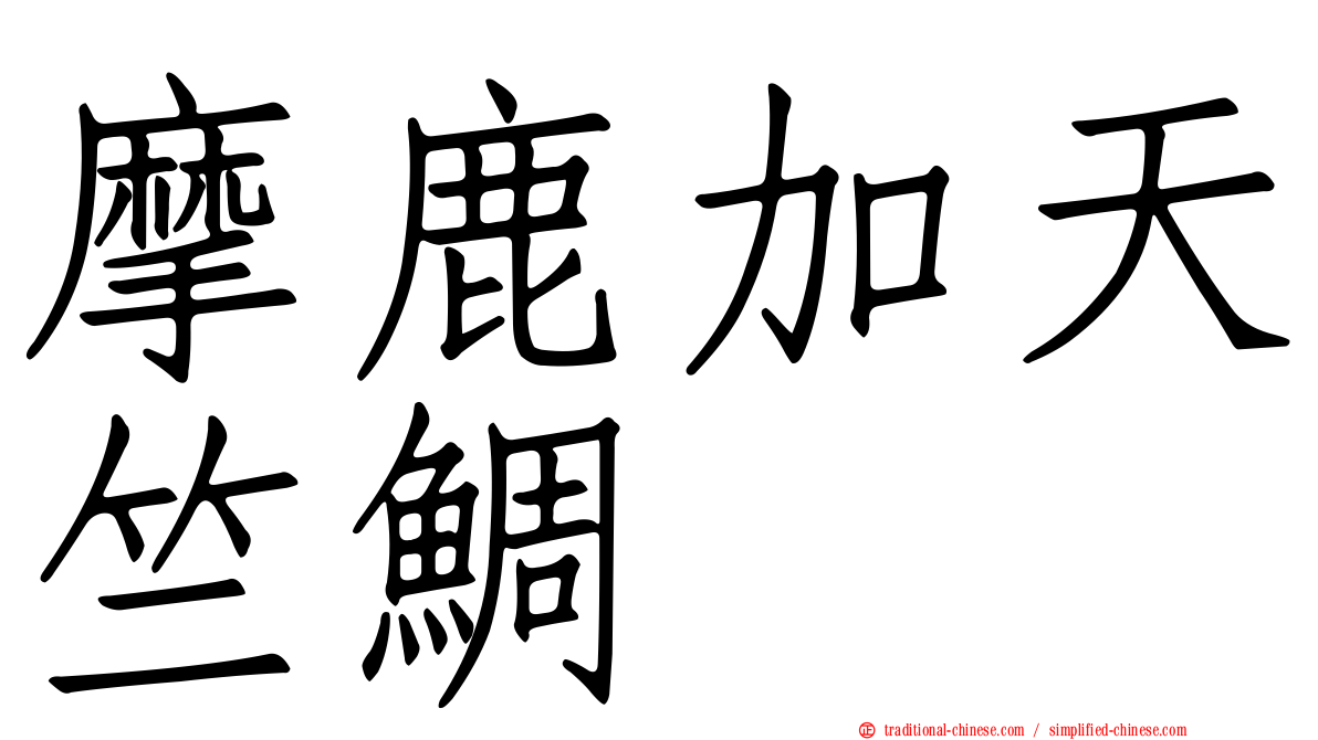 摩鹿加天竺鯛