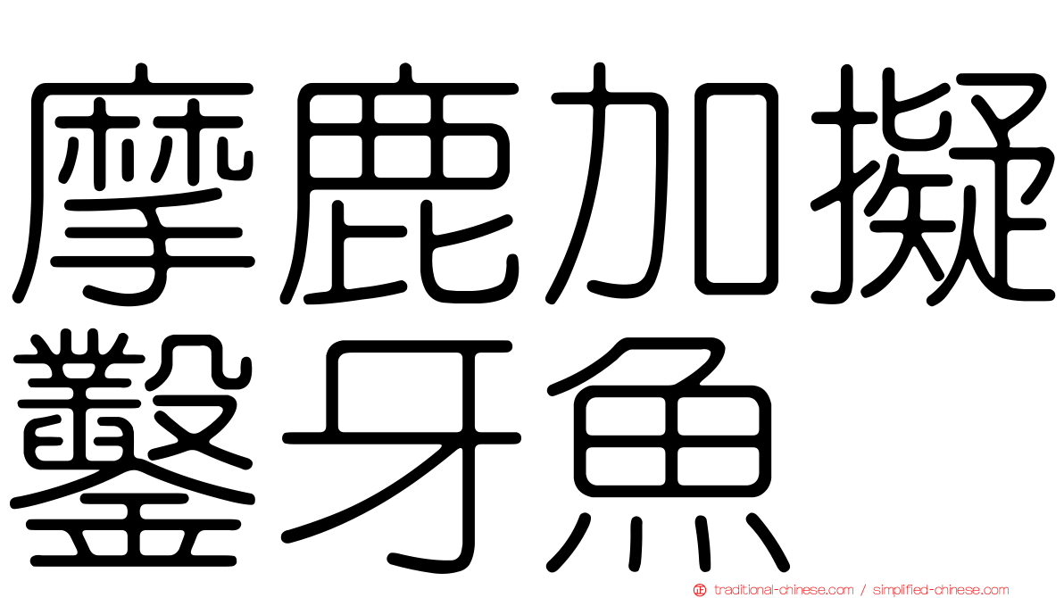 摩鹿加擬鑿牙魚