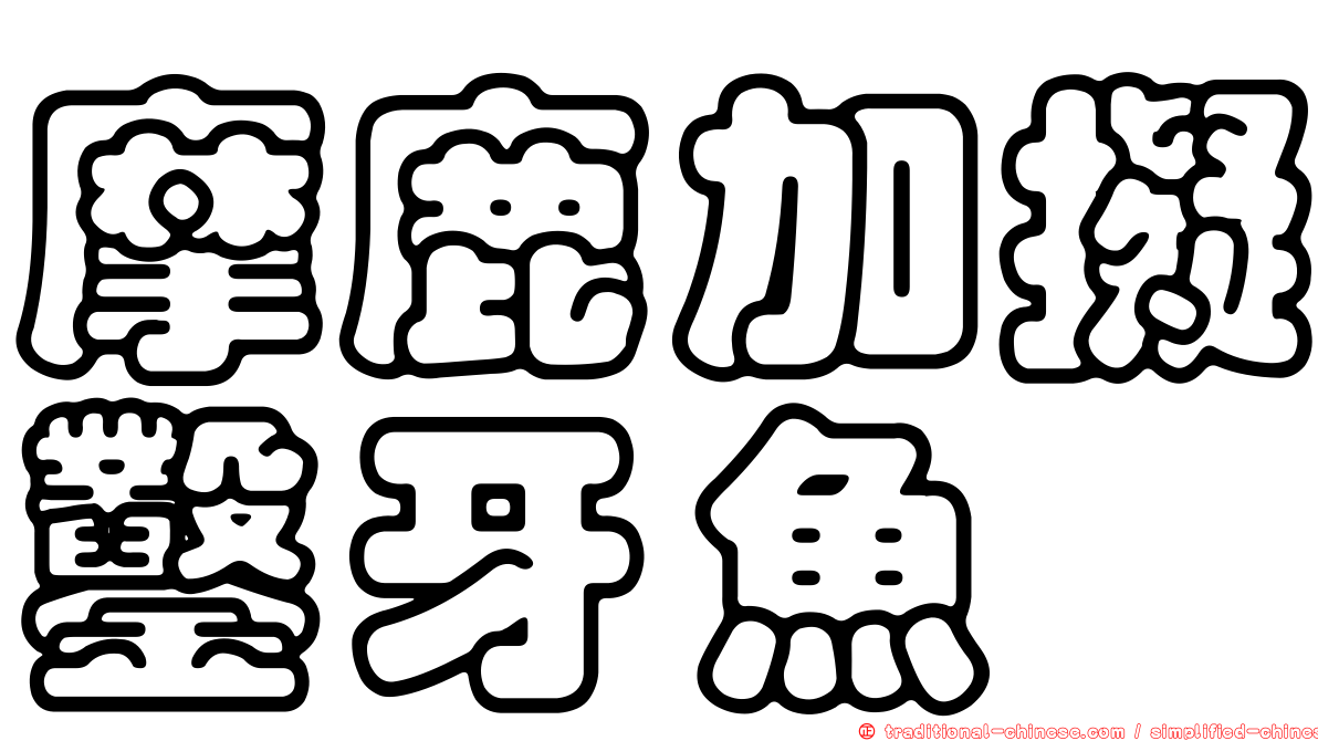 摩鹿加擬鑿牙魚