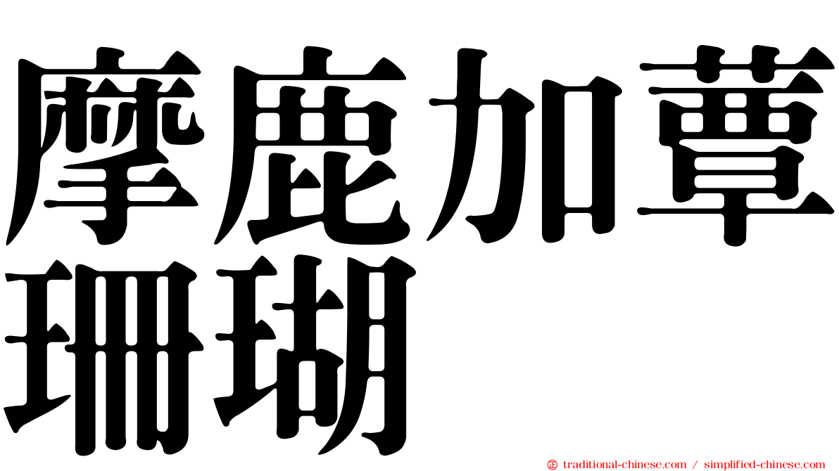 摩鹿加蕈珊瑚
