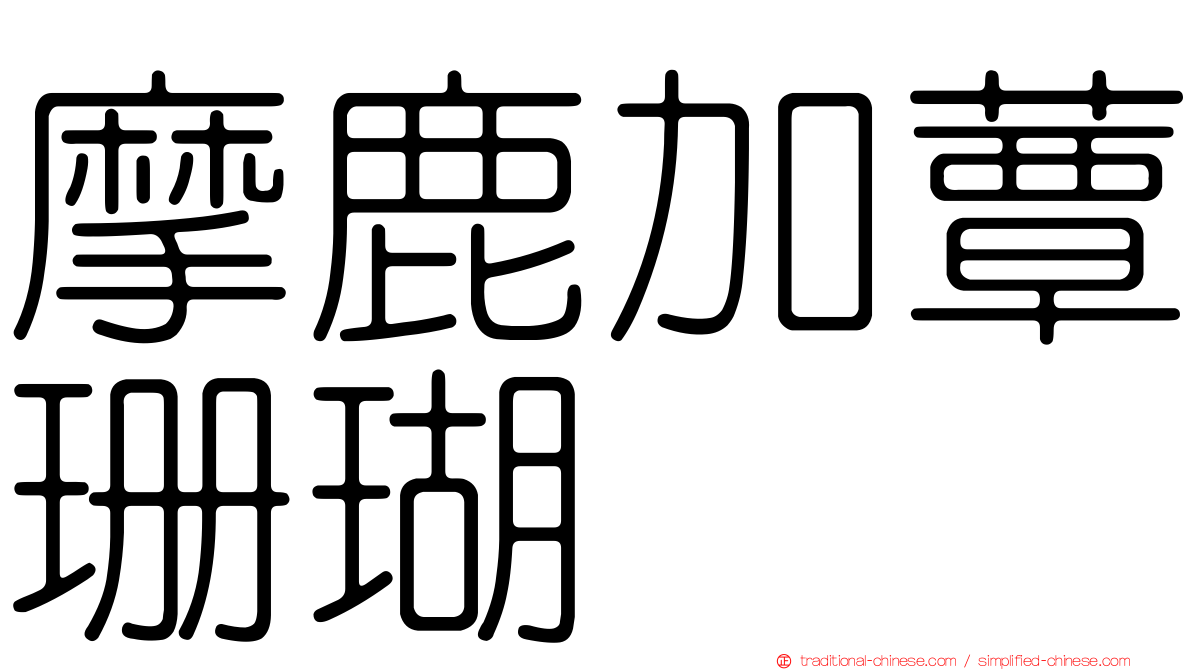 摩鹿加蕈珊瑚