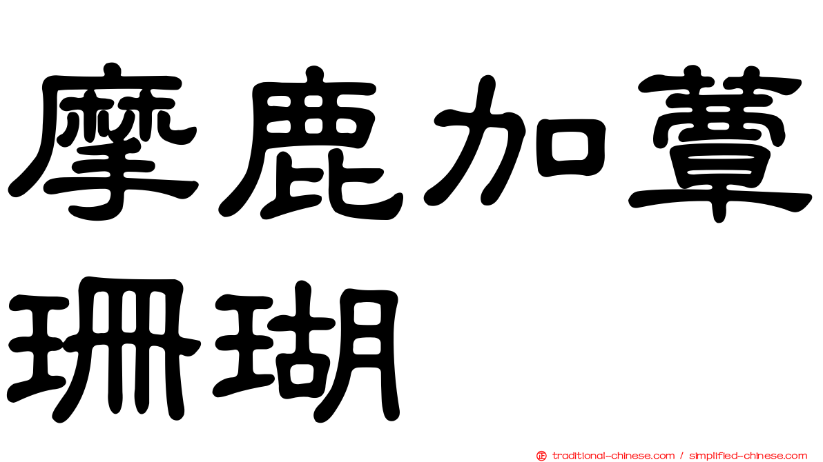 摩鹿加蕈珊瑚