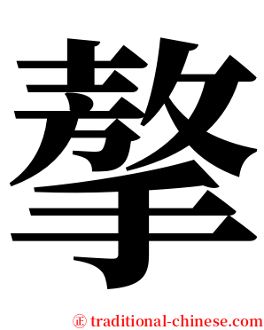 摮 serif font