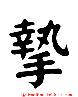 摯