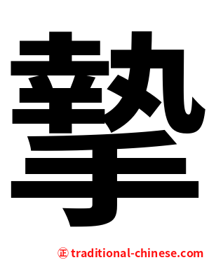摯