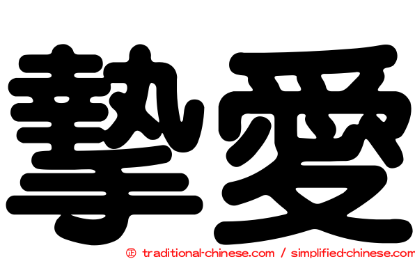 摯愛