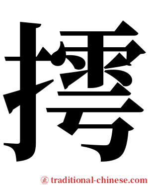 摴 serif font