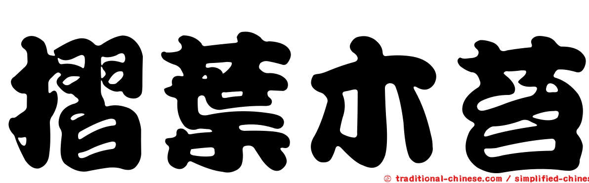 摺葉木苔