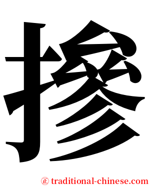 摻 serif font