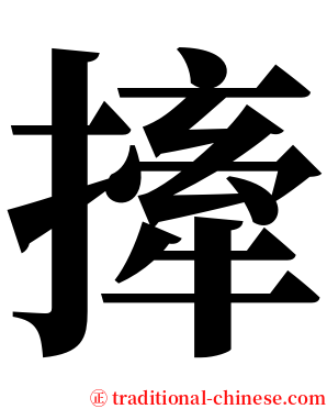 撁 serif font
