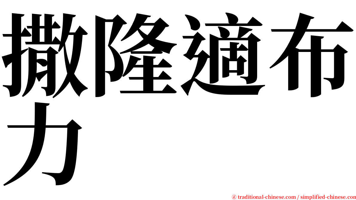 撒隆適布力 serif font