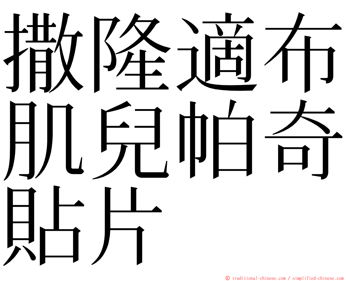 撒隆適布肌兒帕奇貼片 ming font