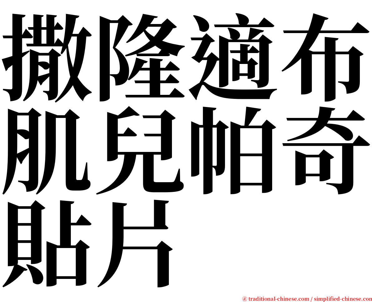 撒隆適布肌兒帕奇貼片 serif font