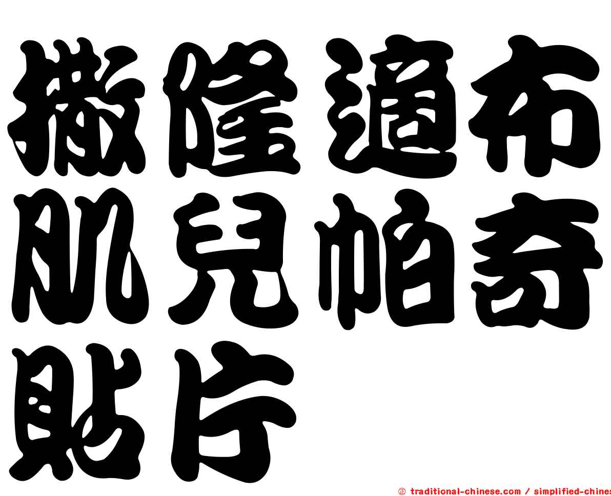 撒隆適布肌兒帕奇貼片
