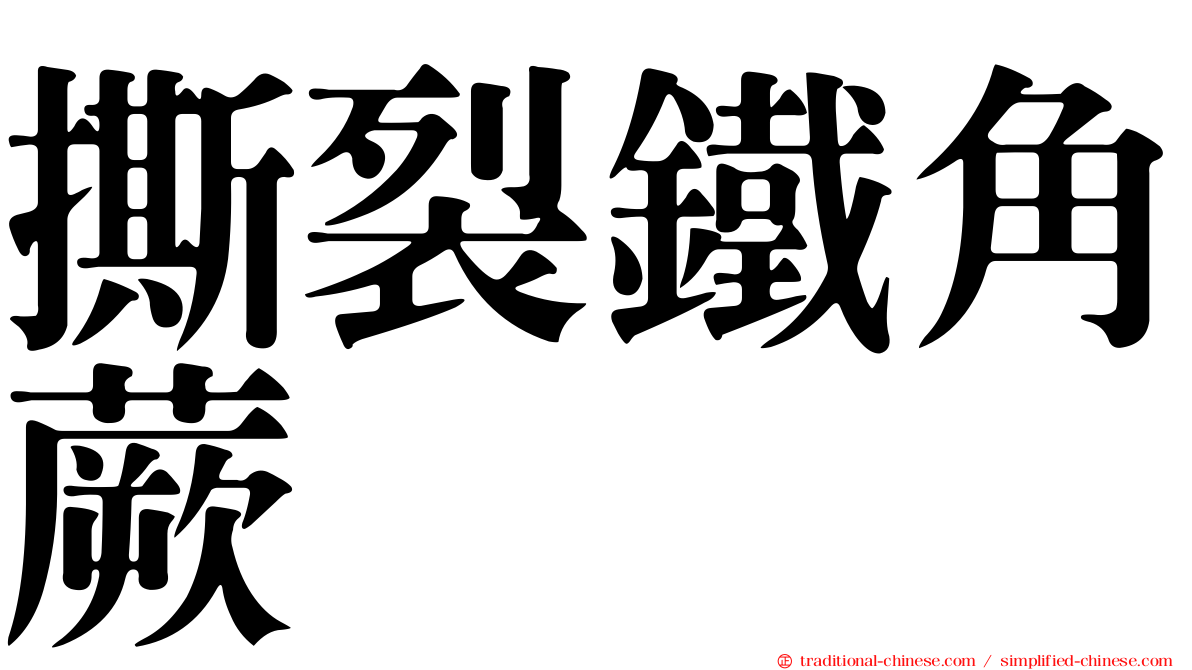撕裂鐵角蕨