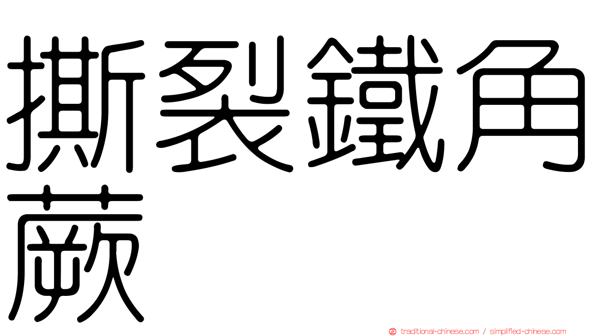 撕裂鐵角蕨