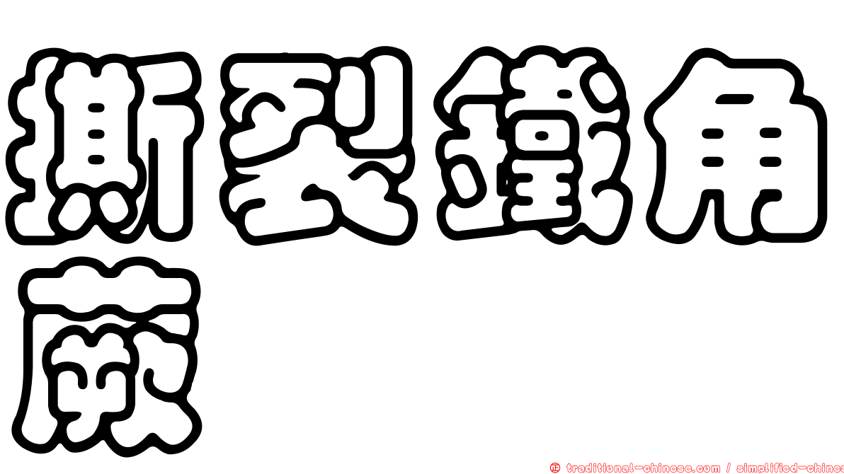 撕裂鐵角蕨