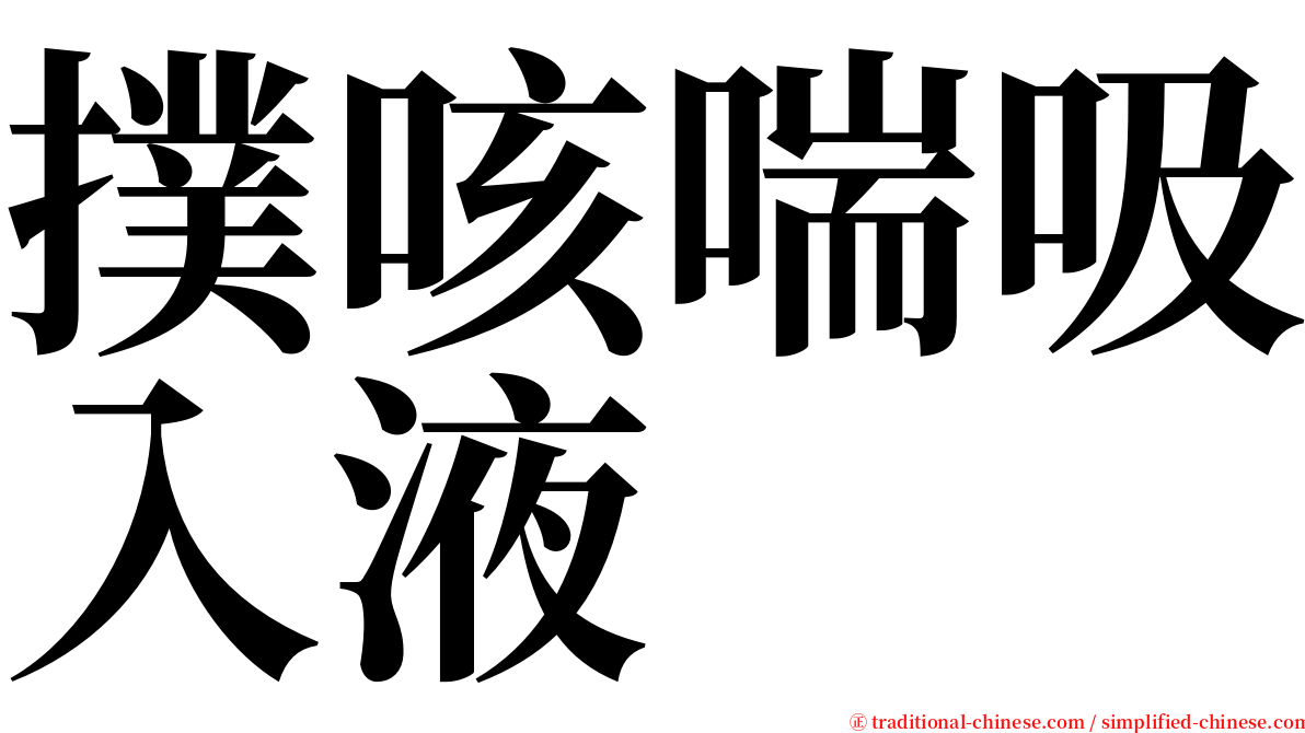 撲咳喘吸入液 serif font