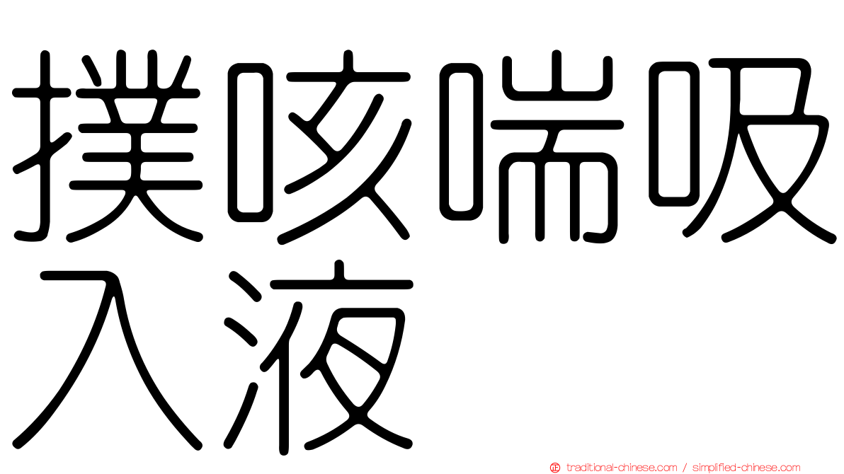 撲咳喘吸入液