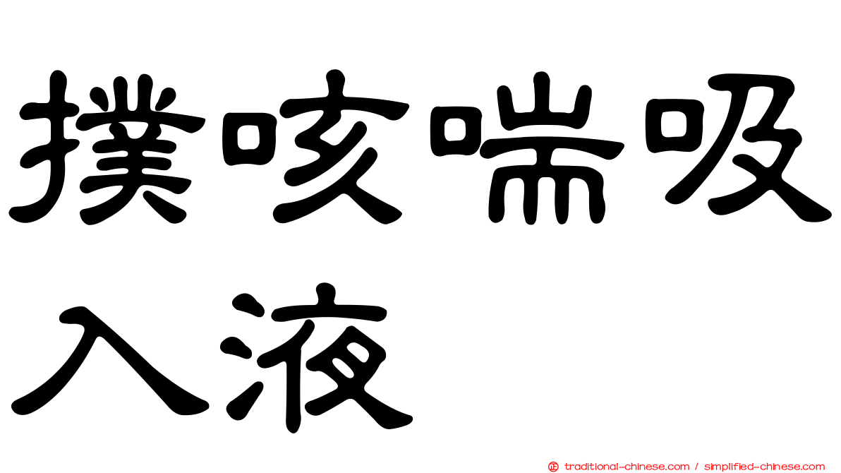 撲咳喘吸入液