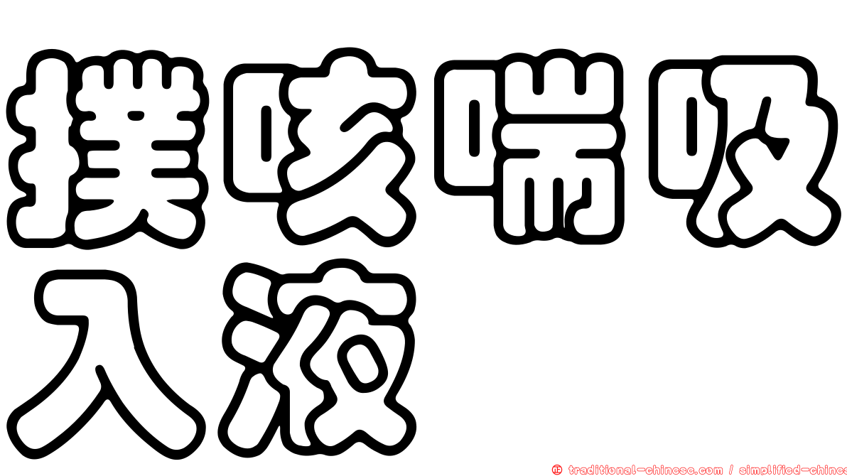 撲咳喘吸入液