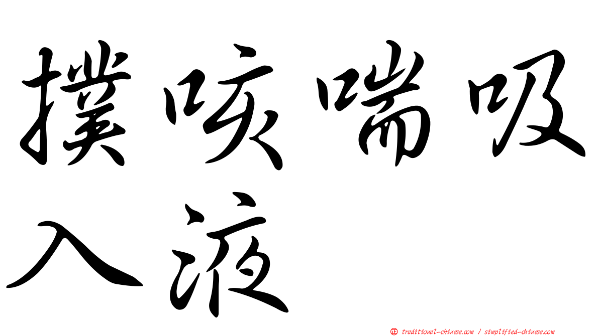 撲咳喘吸入液