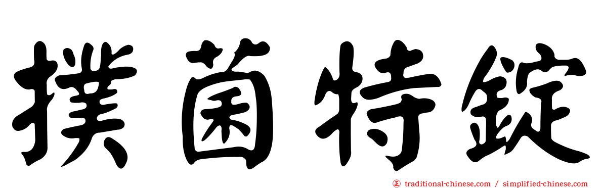 撲菌特錠