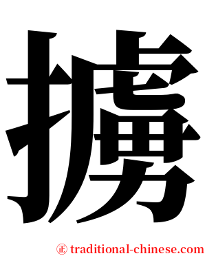 擄 serif font