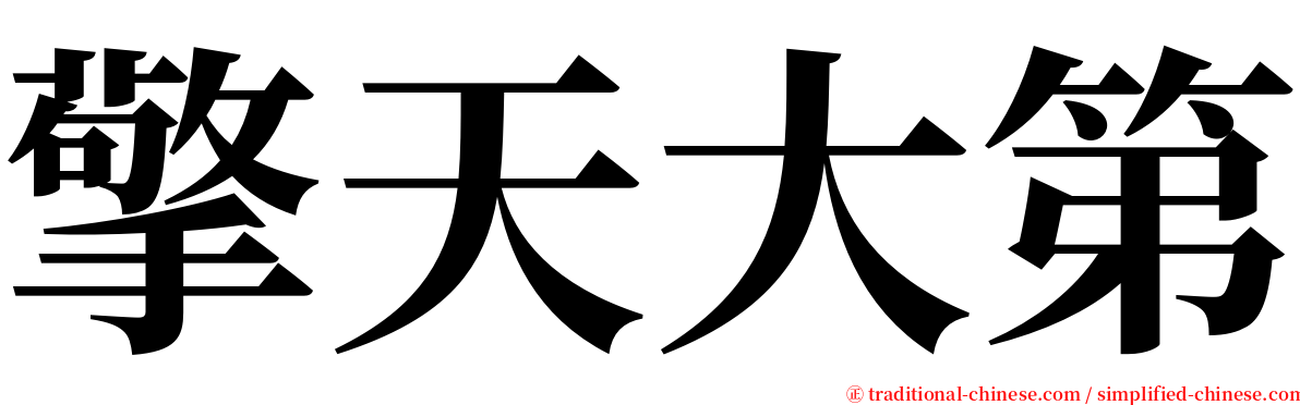 擎天大第 serif font