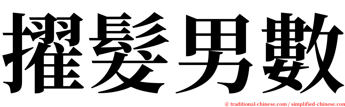 擢髮男數 serif font