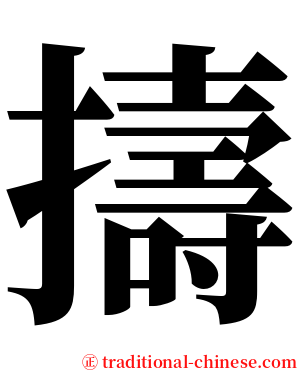 擣 serif font