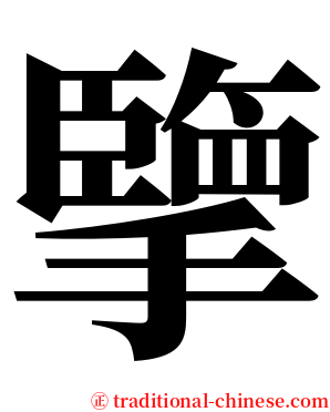 擥 serif font