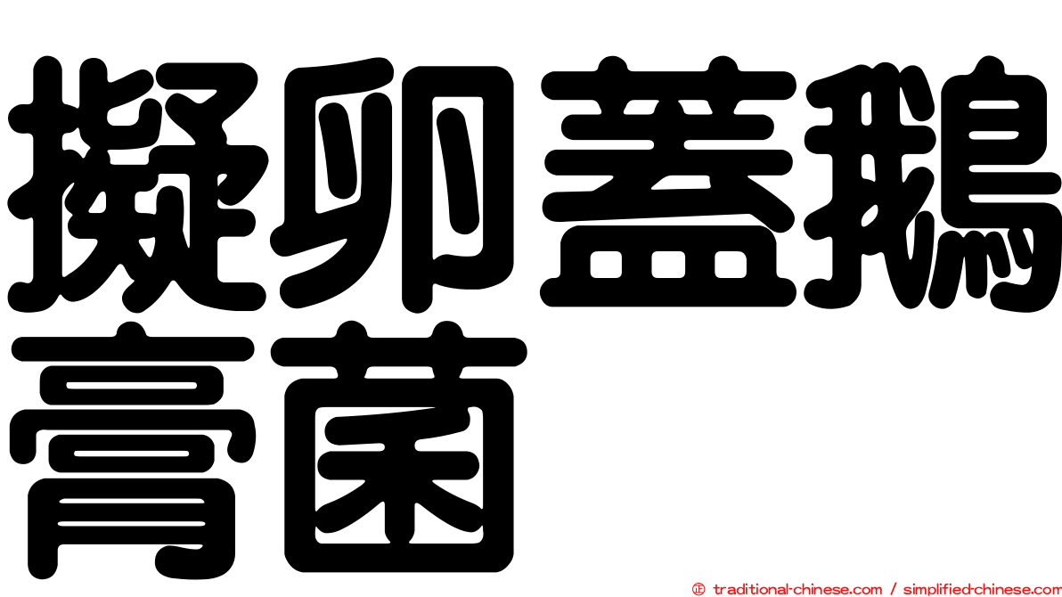 擬卵蓋鵝膏菌