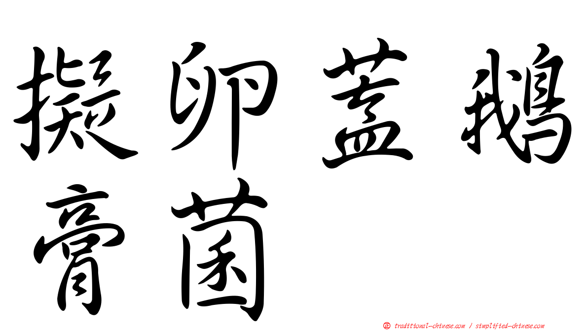 擬卵蓋鵝膏菌