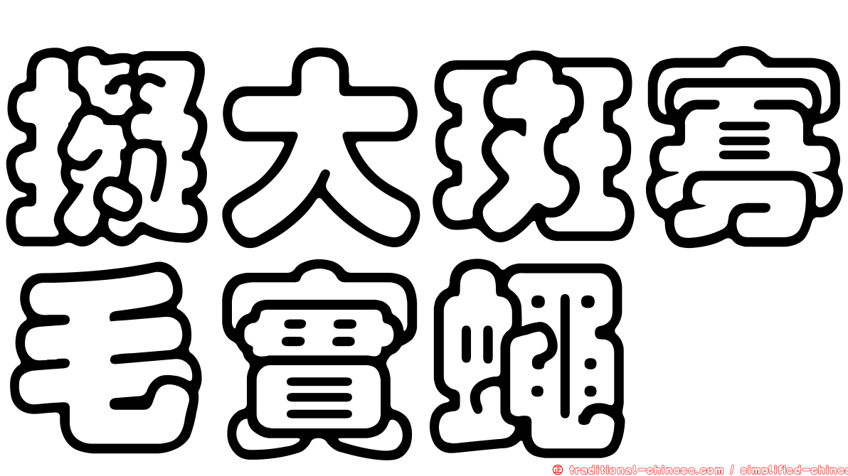 擬大斑寡毛實蠅