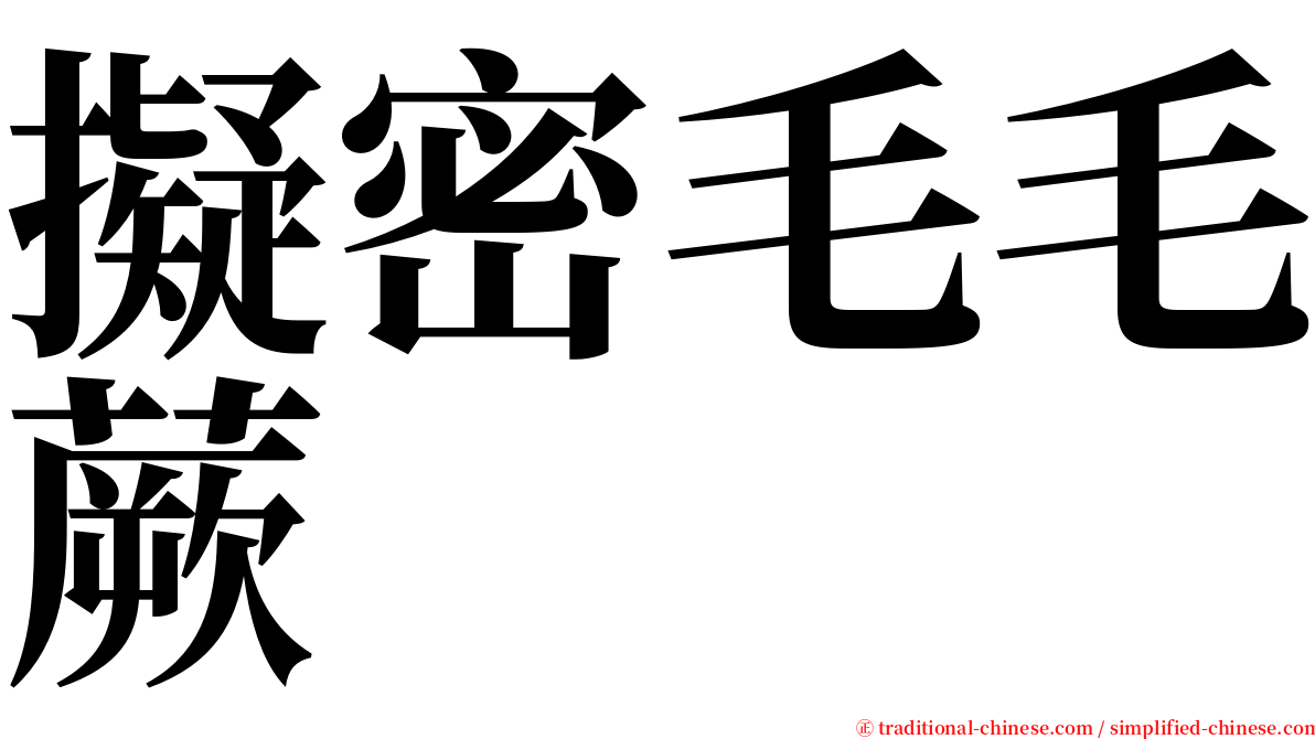 擬密毛毛蕨 serif font