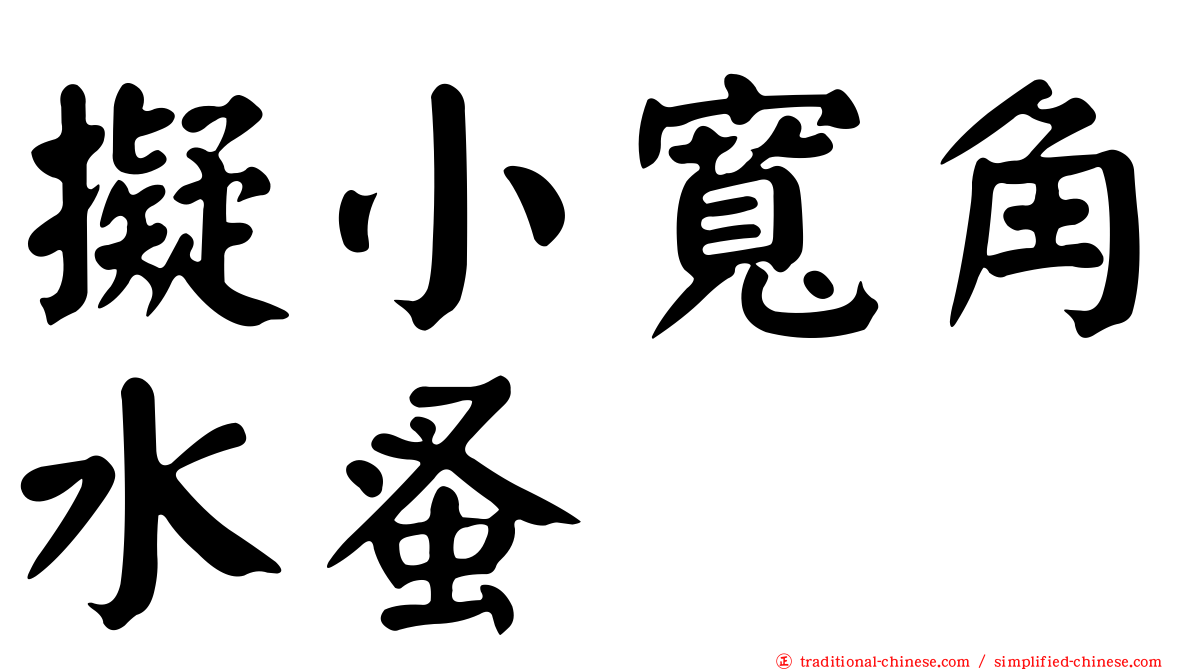 擬小寬角水蚤