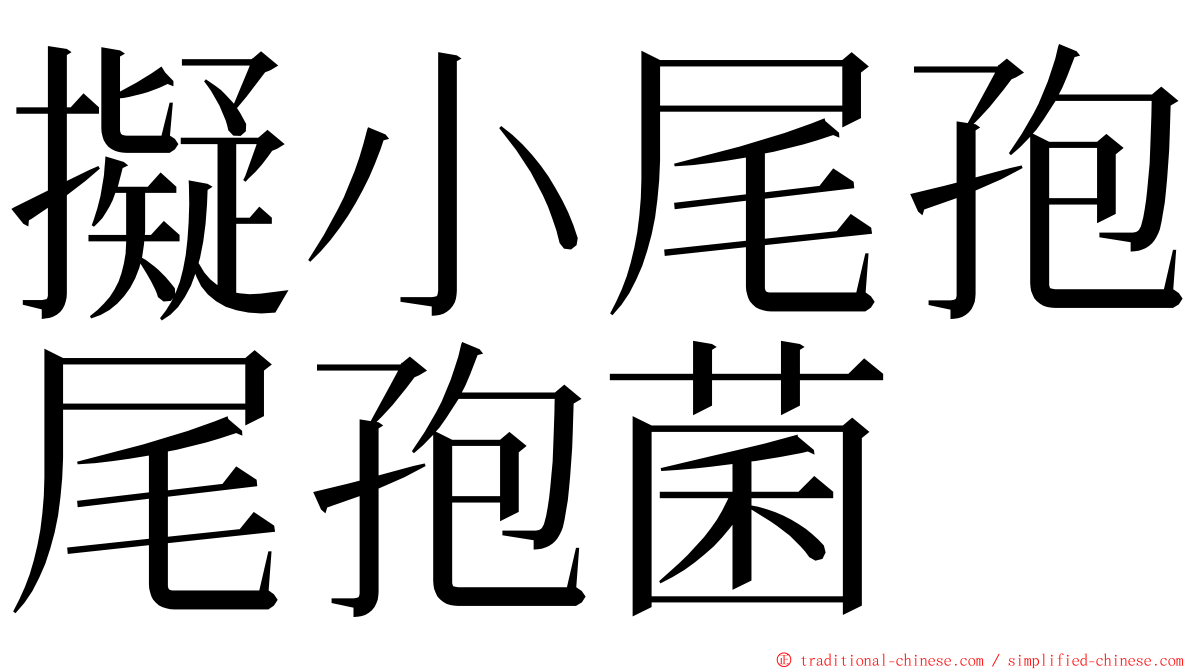 擬小尾孢尾孢菌 ming font