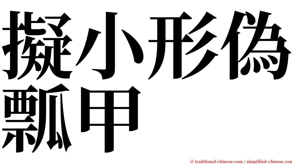 擬小形偽瓢甲 serif font