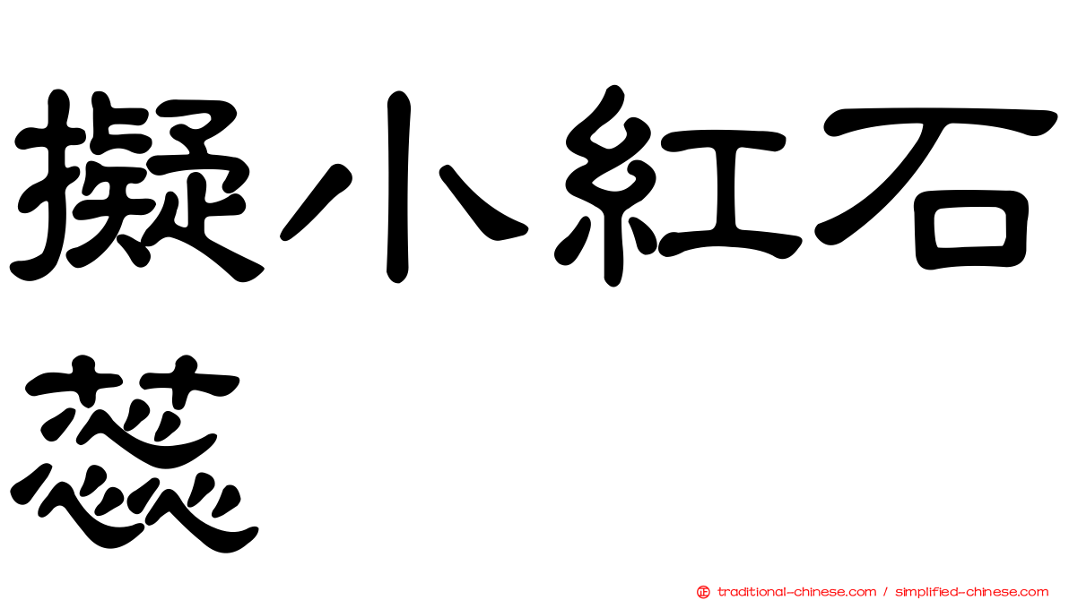 擬小紅石蕊