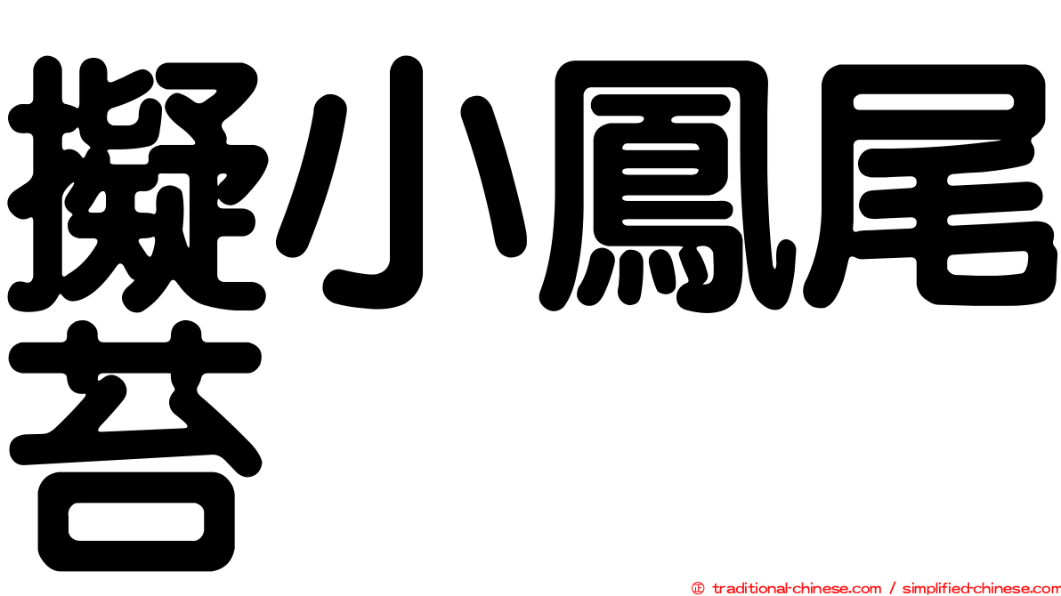 擬小鳳尾苔