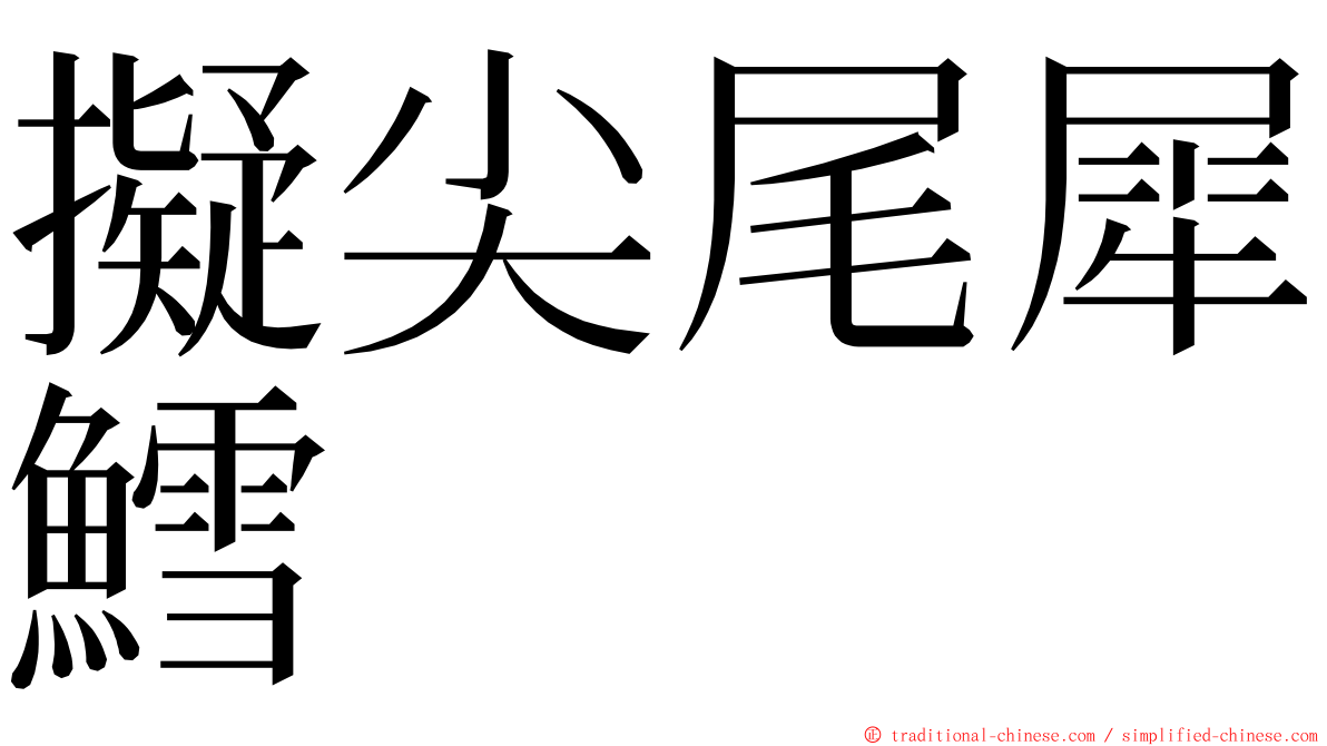 擬尖尾犀鱈 ming font