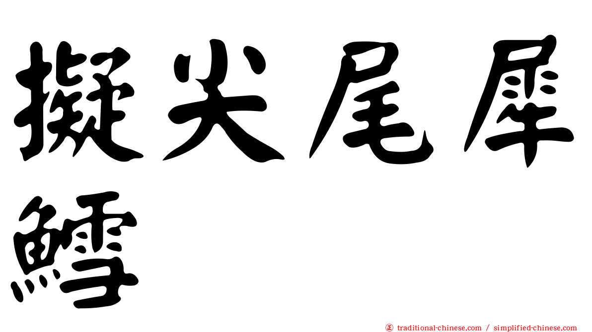 擬尖尾犀鱈