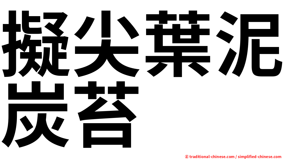 擬尖葉泥炭苔