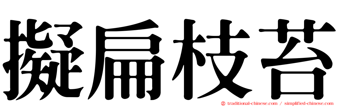 擬扁枝苔