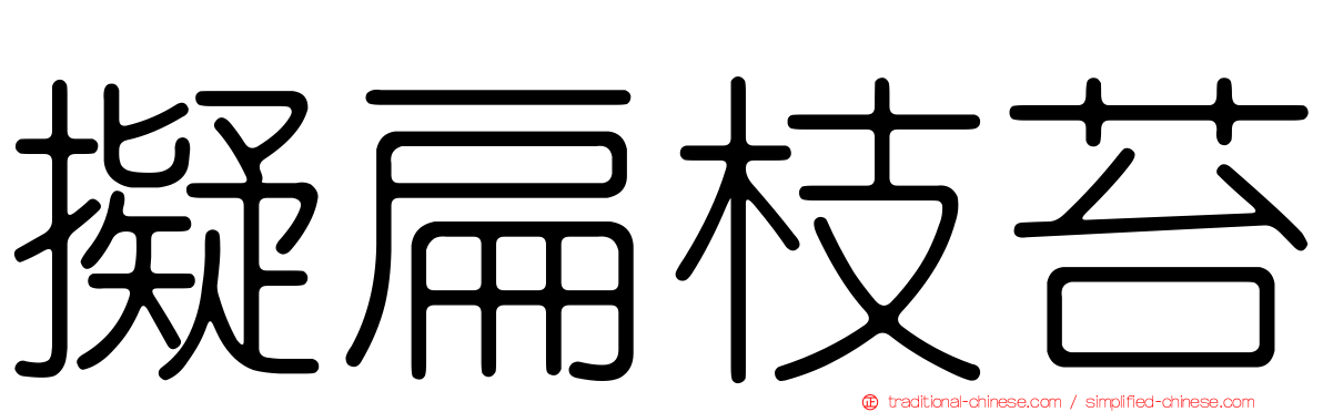 擬扁枝苔