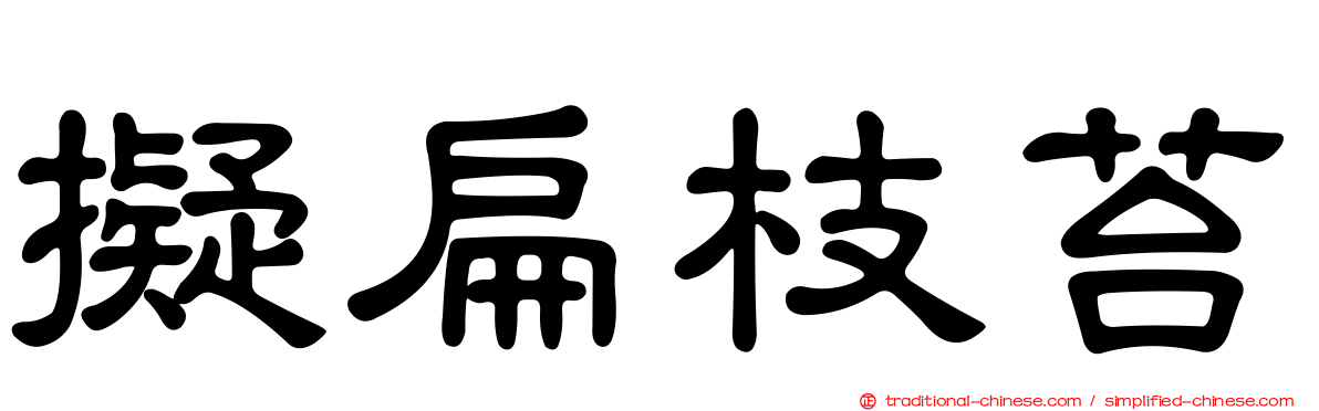 擬扁枝苔
