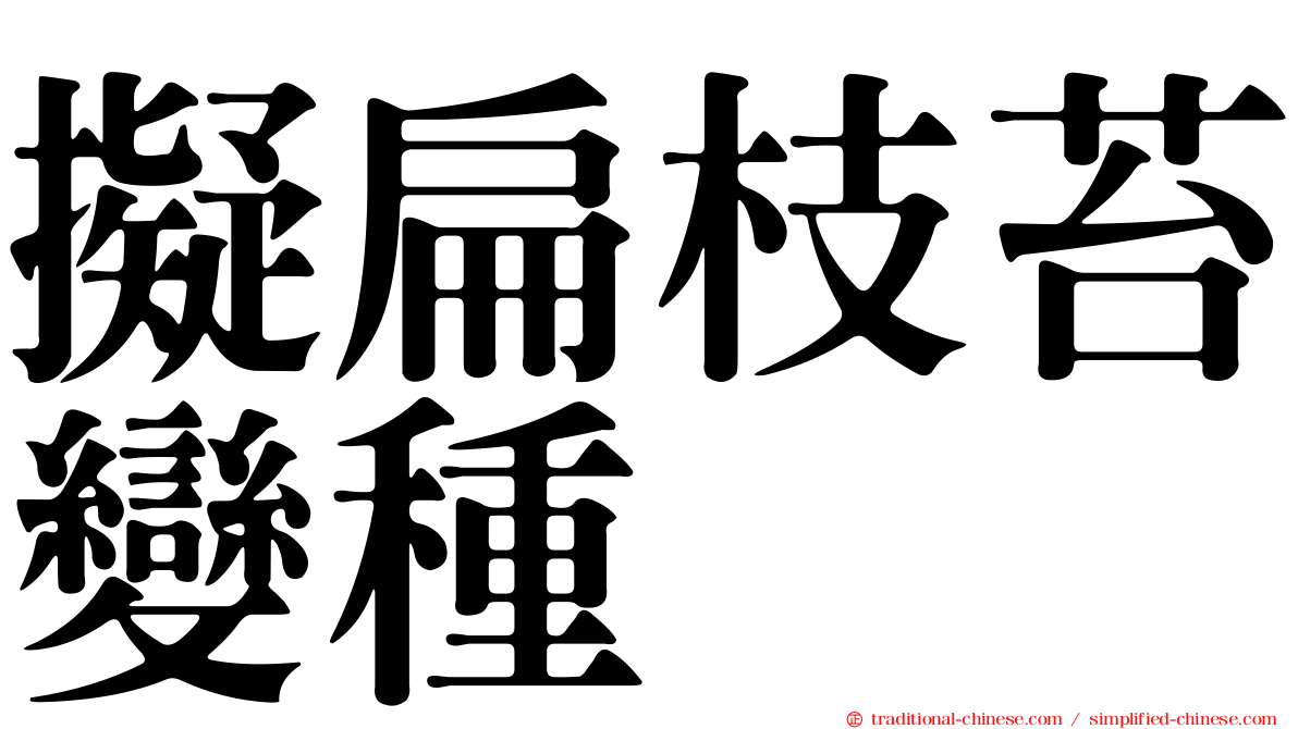擬扁枝苔變種
